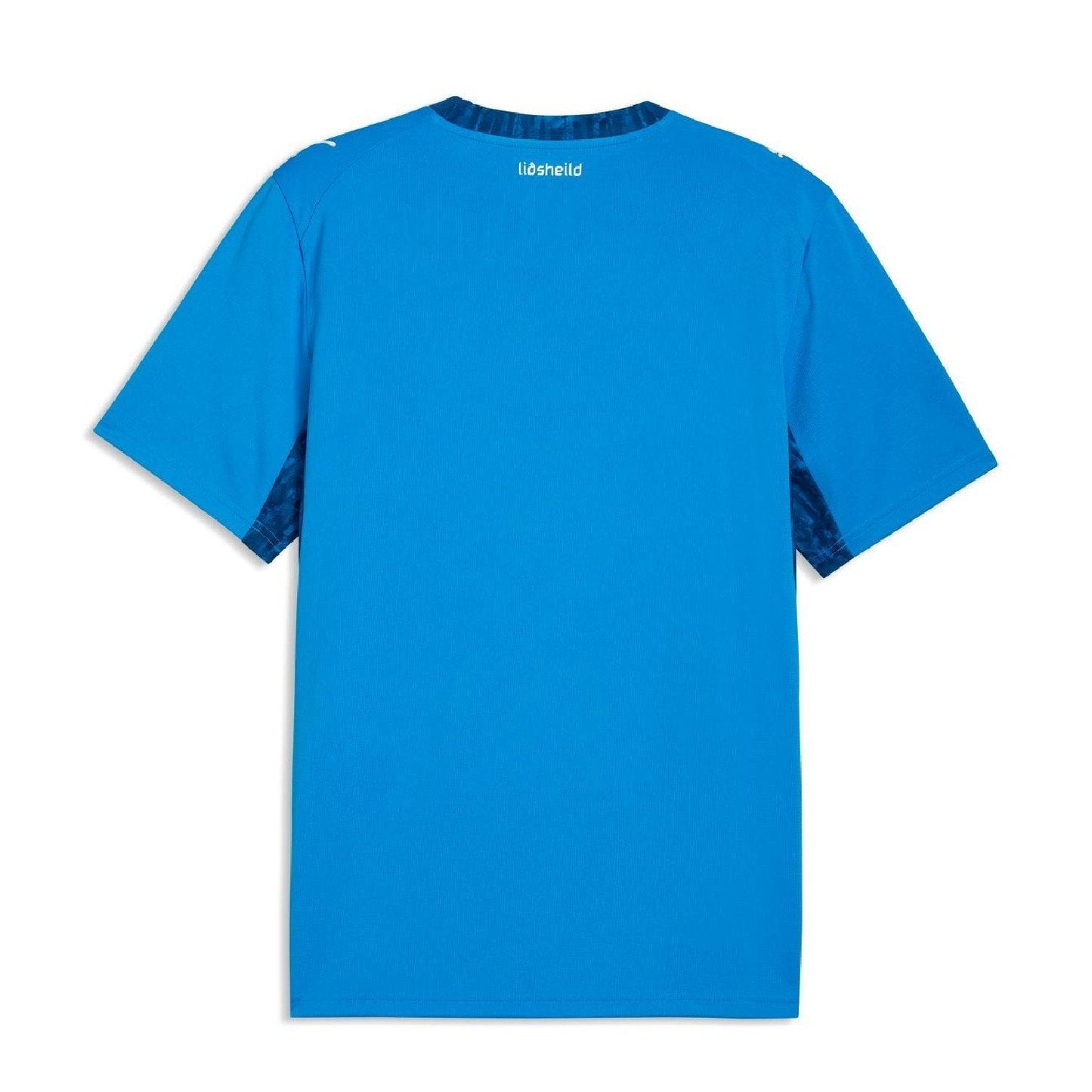 Maillot Domicile Islande 2026 - Homme