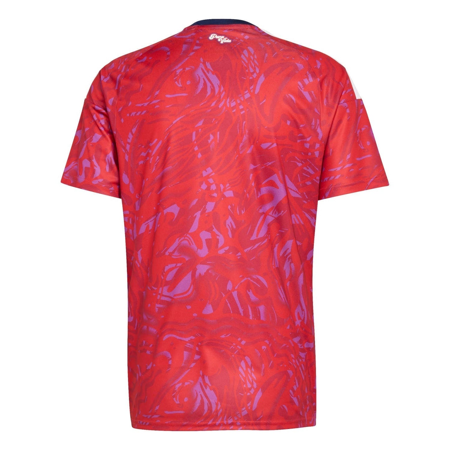 Maillot Domicile Costa Rica 2026 - Homme