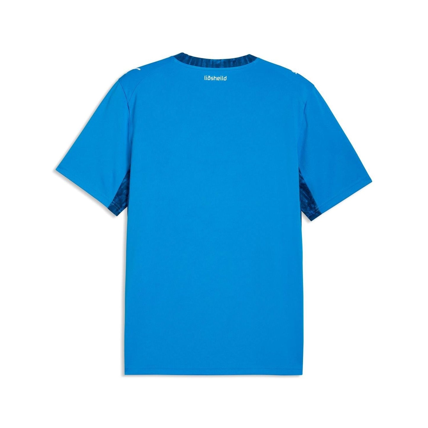 Maillot Domicile Islande 2026 - Homme